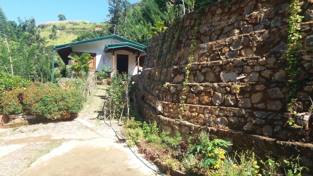 Artist Cottage Haputale Exteriér fotografie